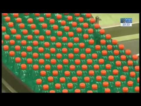 Presentazione Rapporto SVIMEZ 2019 – TG2000 ore 20,30 del 4 novembre 2019