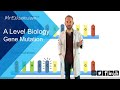 Gene Mutation A Level Biology
