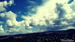 The Growlers - Black Memories