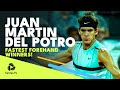 Juan Martin del Potro's Fastest Ever ATP Forehand Winners! ?