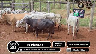 Vídeo LOTE 20