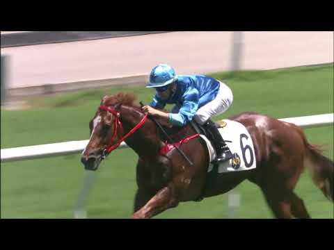 16/5/2021 (672) Master Eight - J Moreira (Debut win!)