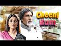 Cheeni Kum Full Movie Amitabh Bachchan Tabu R Balki Movies Romantic Comedy Movie