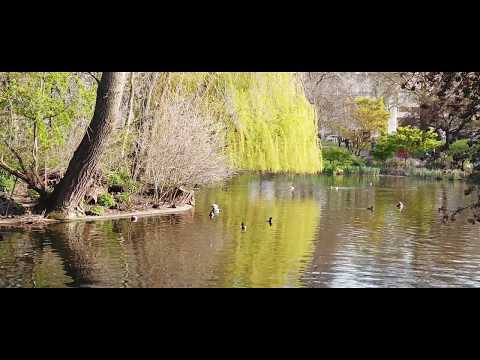 hearts united  -tom caio (english song) edited