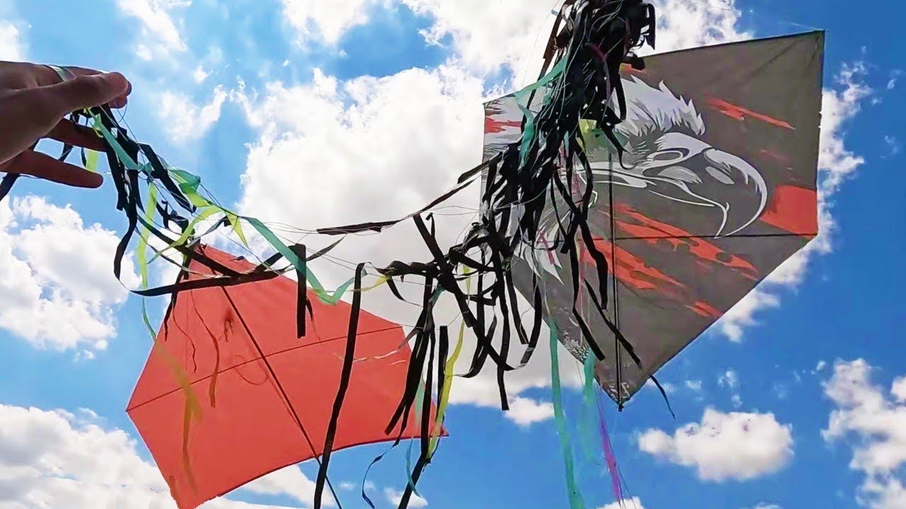 Rei da Chepa Pegando Todas as Pipas Voadas no Salerno, São Paulo!!! 🔥