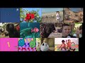 All 12 Baby Genius Videos At Once