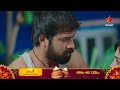 Paluke Bangaramayena Promo 16th Jan 2026 Mon Sat At 1 30 PM Star Maa Serials Star Maa