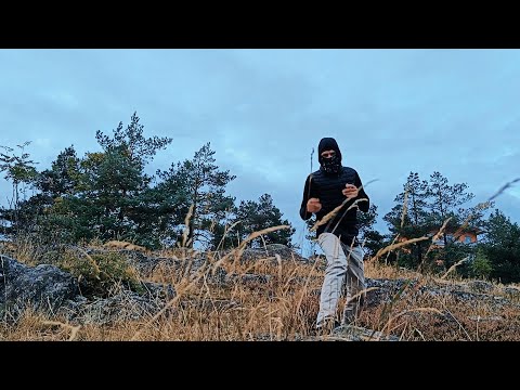 #2 Storhets - THE SCENARIO DANCE