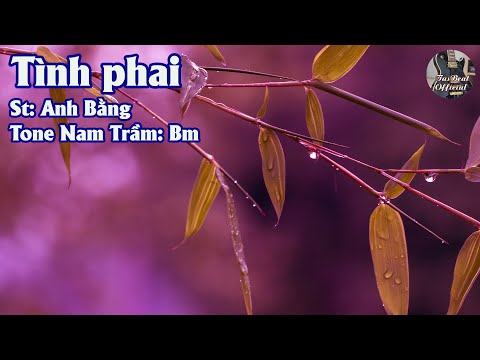 Karaoke Tình Phai (Anh Bằng) Tone Nam Trầm | TAS BEAT