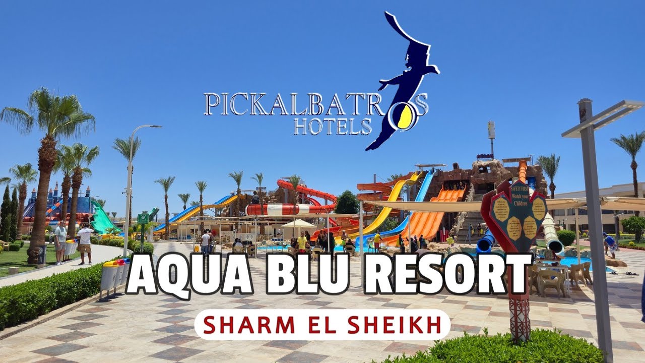 Pickalbatros Aqua Blu Sharm El Sheikh video thumbnail