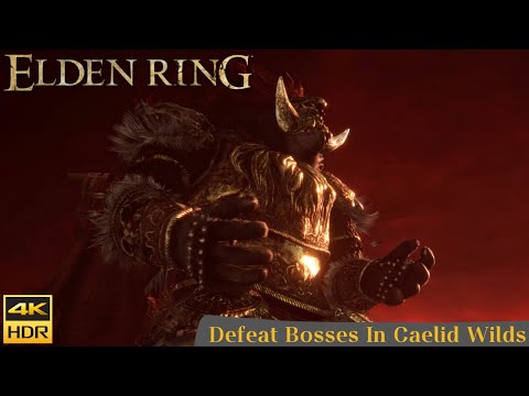 Elden Ring : All Boss Fight In Caelid Wilds