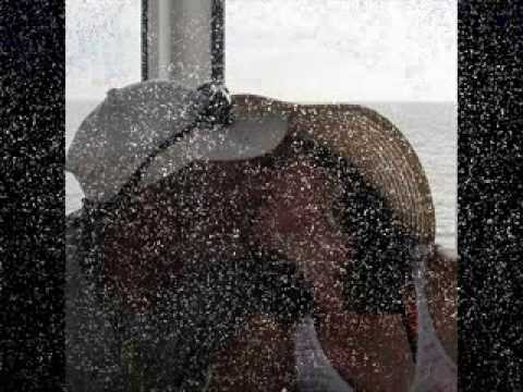 Comforter by Vicki Yoh'e