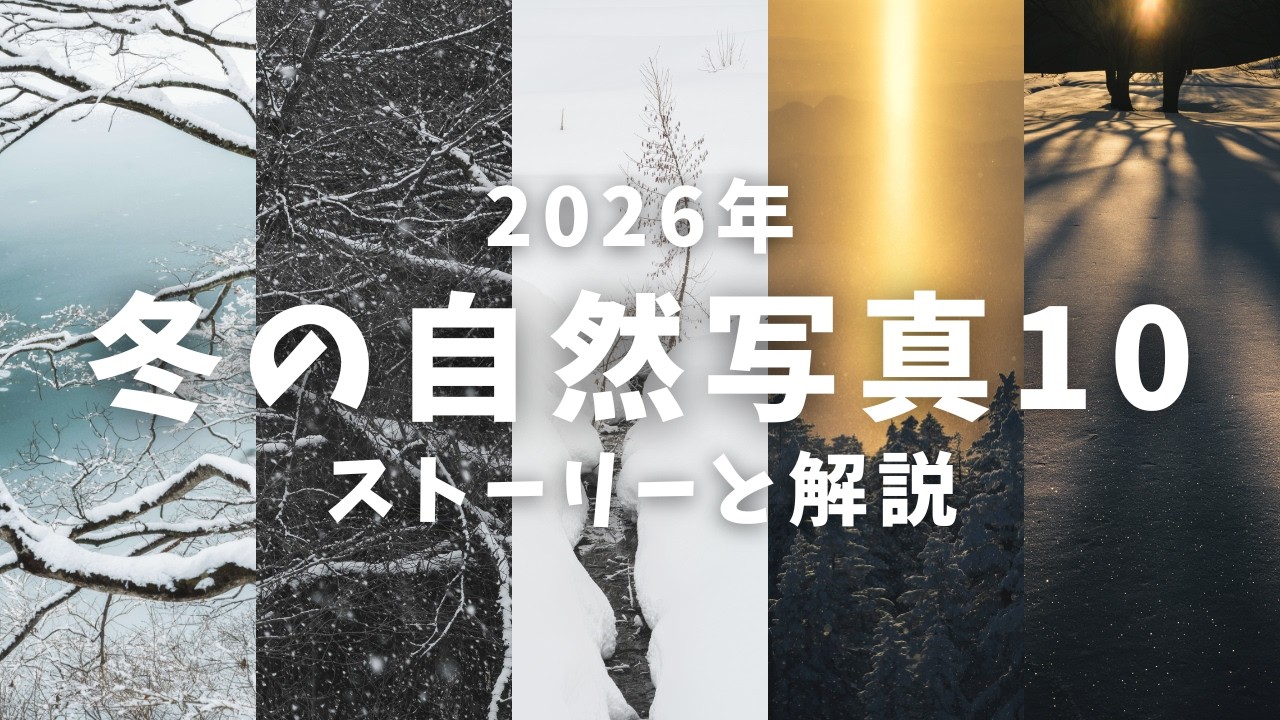 【振り返り】2026年冬の作品10・ストーリーと構成解説