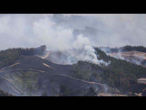 Nelson fire: 235 properties evacuated, one house destroyed | RNZ News