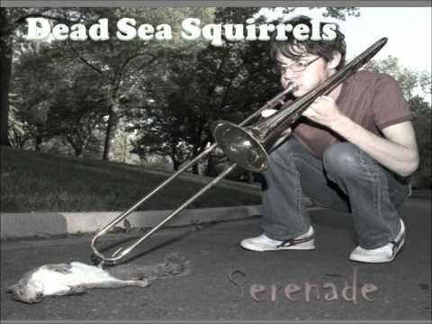 Dissolution - Dead Sea Squirrels - Boss BR600