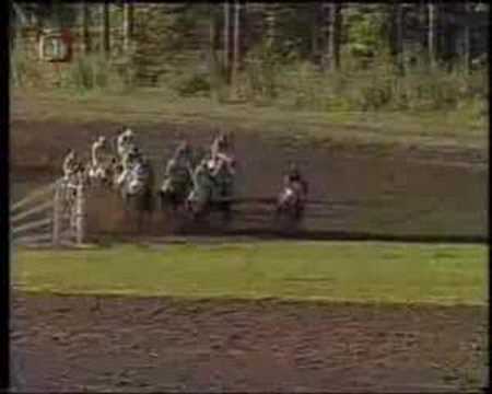 113. GRAND STEEPLECHASE PARDUBICE 2003