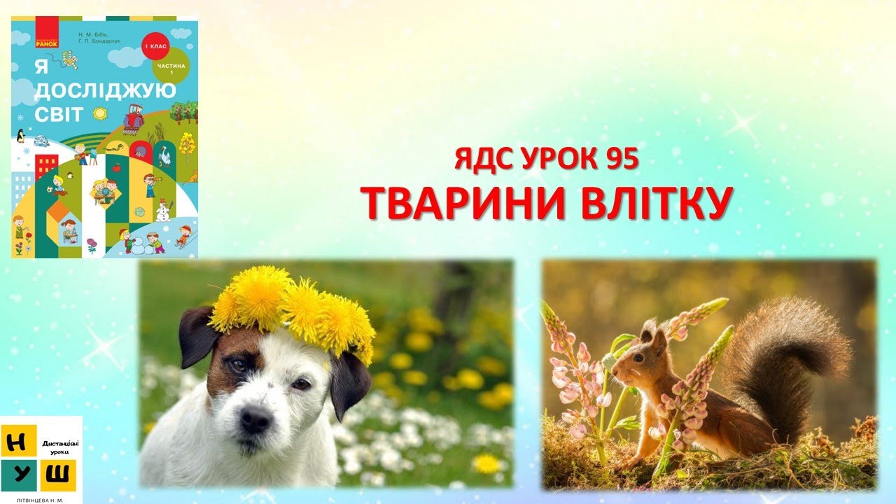 ЯДС  1 клас УРОК 95 ТВАРИНИ ВЛІТКУ автор підручника Бібік / ТиДиви