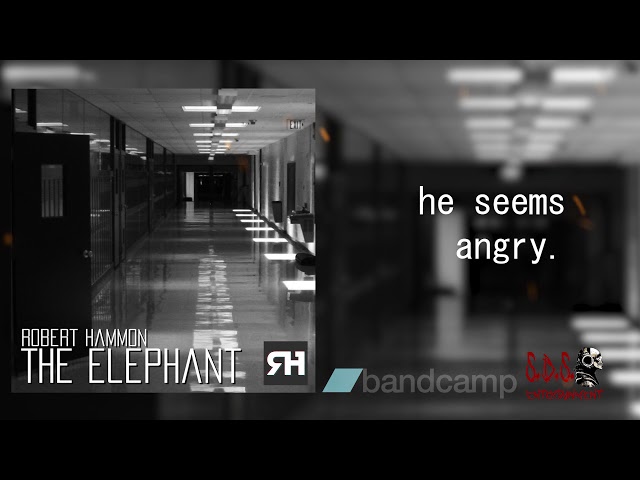 Robert Hammon - The Elephant (CBM) (Remix Stems)
