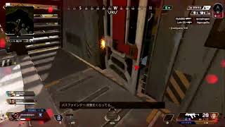 ドタドタ の一日一回かもペックス