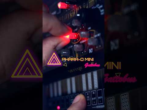 BEHRINGER PHARA-O MINI demo by GATTOBUS