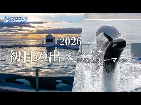 【初日の出】オーシャンスタジアム ＆ シャチパフォーマンス｜鴨川シーワールド公式