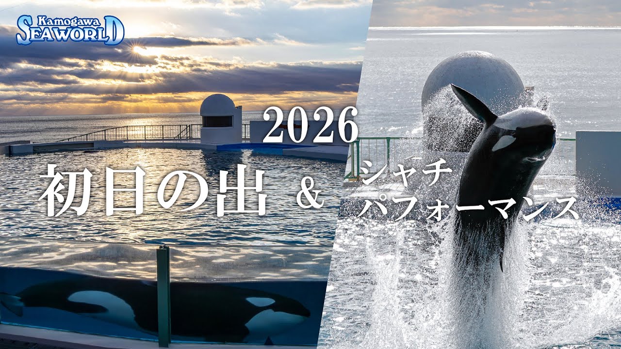 【初日の出】オーシャンスタジアム ＆ シャチパフォーマンス｜鴨川シーワールド公式