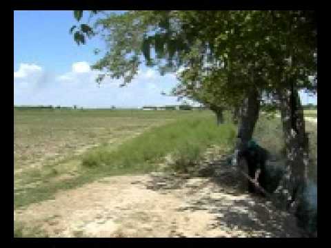 Sary Ishan Daýhan gyzy