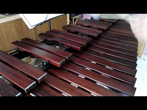 Inni di lode N°11: Lottiam col Cristo Marimba Cover