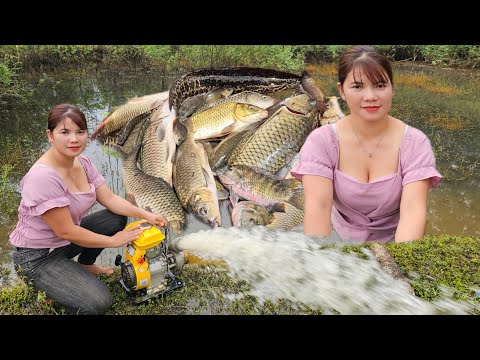 The puddle is full of fish. The girl uses a machine to drain the water to catch fish.