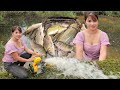 The puddle is full of fish. The girl uses a machine to drain the water to catch fish.