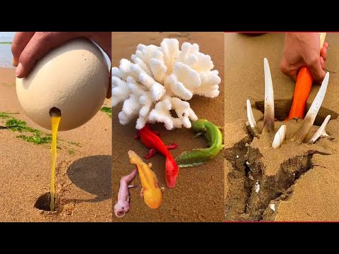 Satisfying & Relaxing with Catching Seafood 🦀🐙 #92