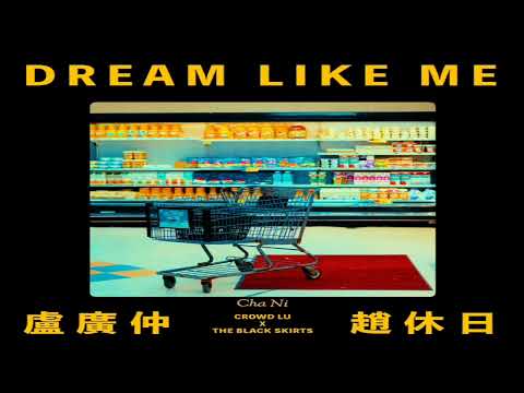 Crowd Lu ×검정치마(盧廣仲 X 趙休日) - DREAM LIKE ME 1시간