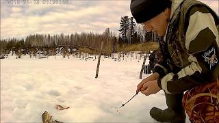 Ловля леща зимой на карьере