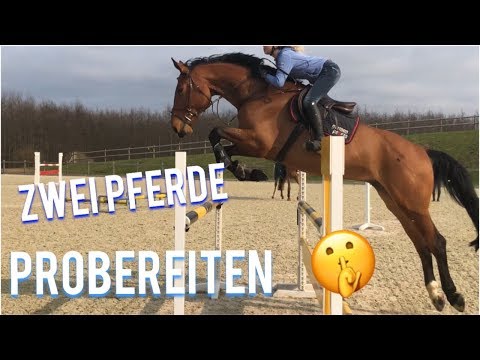 Longidaza Bewertungen Kerzen Männer mit Prostatitis Vesikel und Prostata es