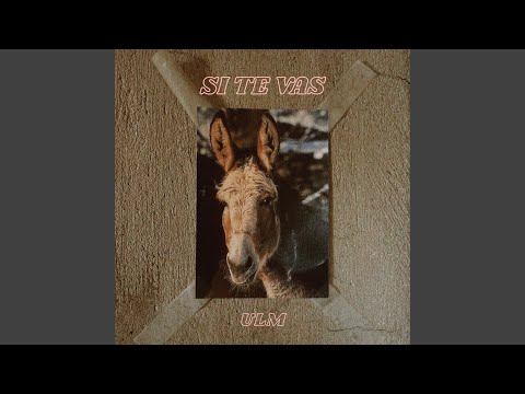Si te vas