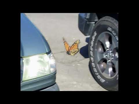 [FREE] TRIPPIE REDD x POLO G TYPE BEAT "ON POINT"