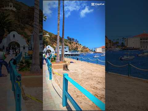 Thumbnail for Catalina Island Carnival Radiance #carnivalcruise #catalinaisland #vacationvibes #carnivalradiance