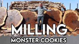 Wood Cravings?  Sawmilling Monster Cookies from Walnut Burl