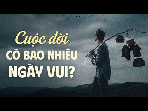 Đời Có Bao Nhiêu Ngày Vui? | Lofi Giọng Đọc NGUYỄN ĐÌNH TOÀN Mới Nhất