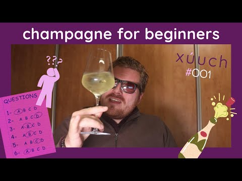 CHAMPAGNE FOR BEGINNERS: Will You Pass This QUIZ!? 🥂🍾