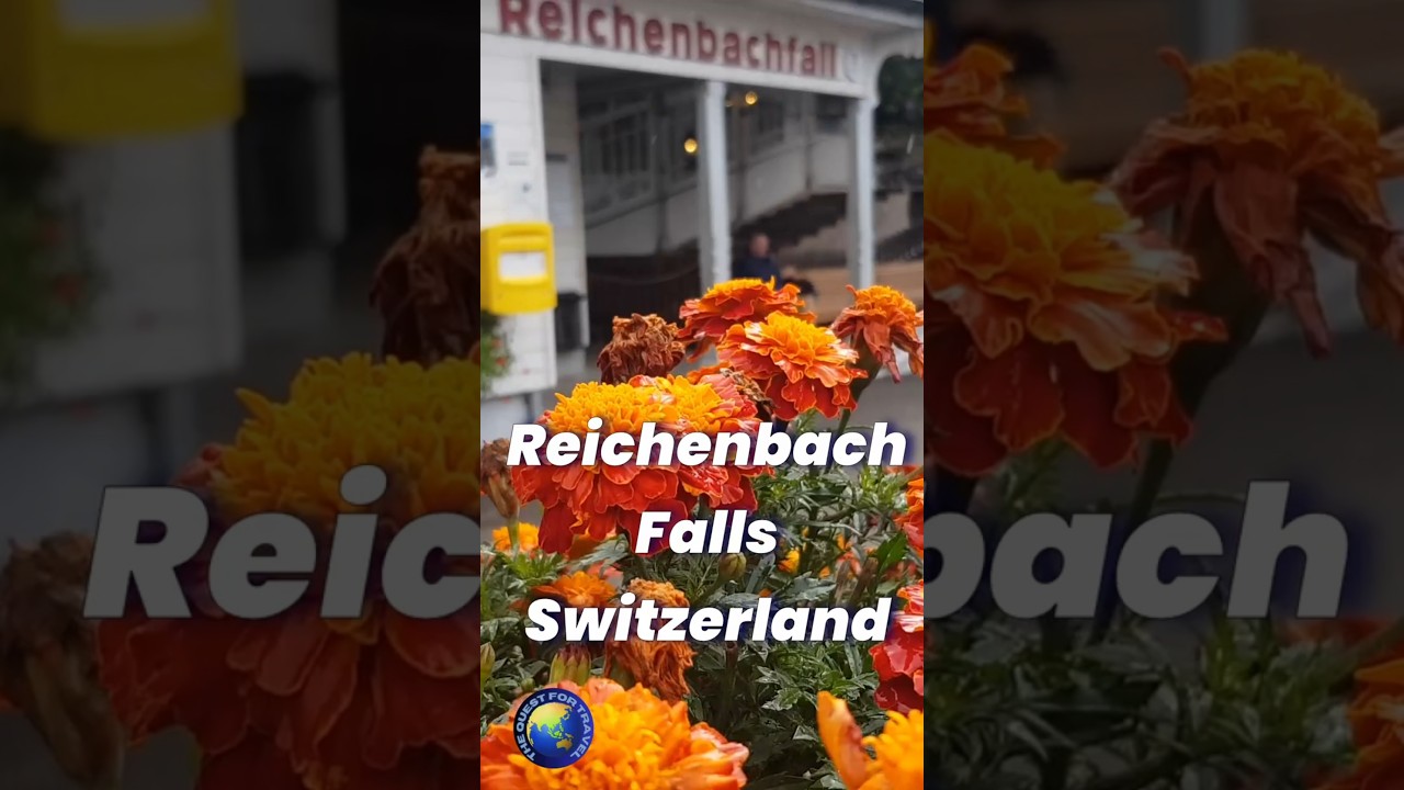 YouTube Short thumbnail