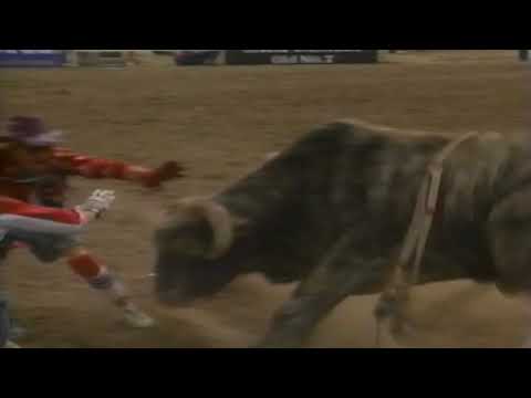 The Jam bucks Wayde Joyal - 95 PBR Del Rio