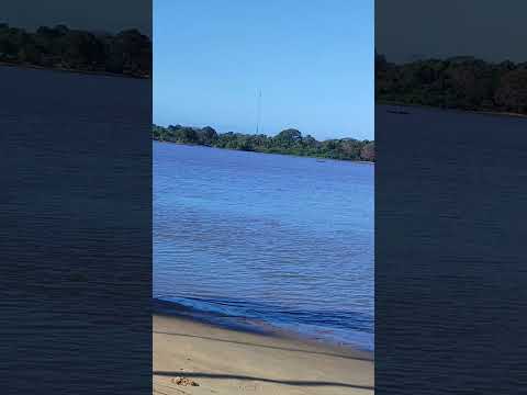 Rio Orinoco Tucupita Edo Delta Amacuro Venezuela