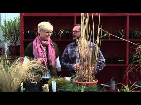 Trädgårds-TV del 1