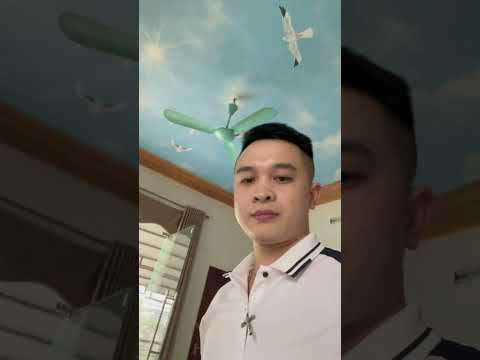 Công việc của tôi sau giờ tan ca