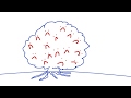 Comprends ta personnalité avec la métaphore de l'arbre - Psykonnaissance #13