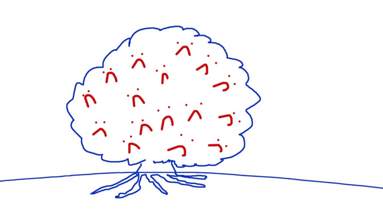 Understand your personality with the tree metaphor