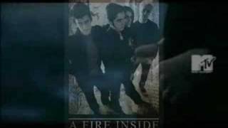 AFI - Now the World
