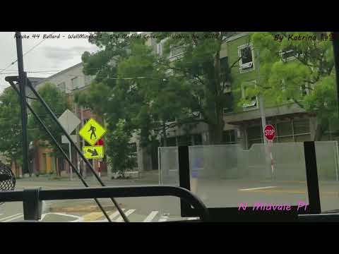 44 Bus Route Seattle