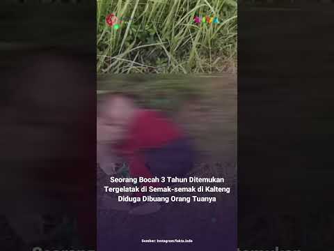 Bocah 3 Tahun DitemukanTergelatak di Semak-semak di Kalteng, Diduga Dibuang Orang Tuanya #viral